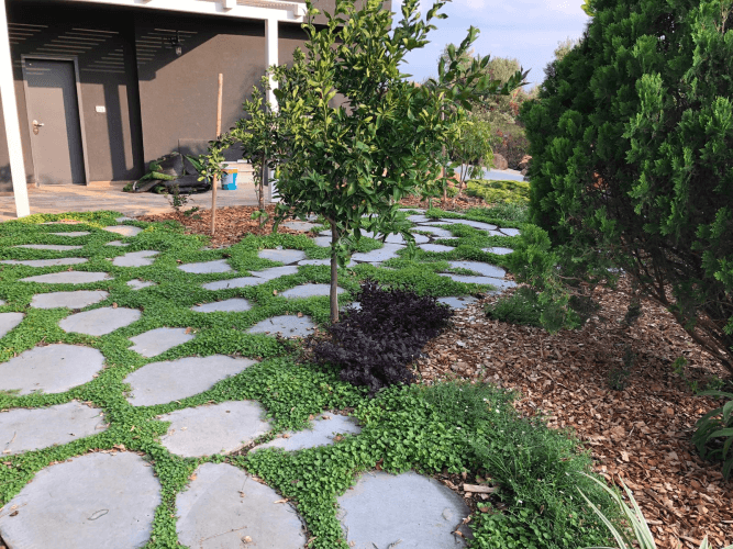 עיצוב גינה 3